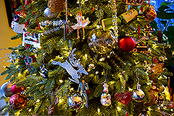 THE MARTIN FOR THE HOLIDAYS